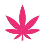 Cannabis leaf icon symbolizing cannabis products for magic mushroom delivery Canada.