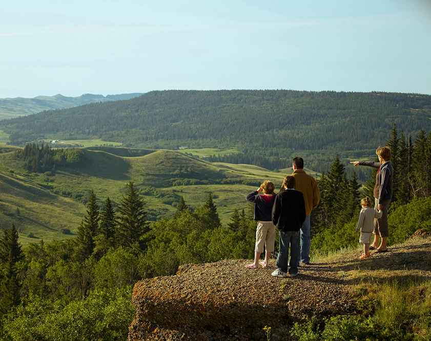 A breathtaking view of downtown Saskatchewan with open skies and cultural landmarks – Order Magic Mushrooms in Saskatchewan today.