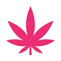 Cannabis leaf icon symbolizing cannabis products for magic mushroom delivery Canada.