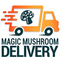 Magic Mushroom Delivery